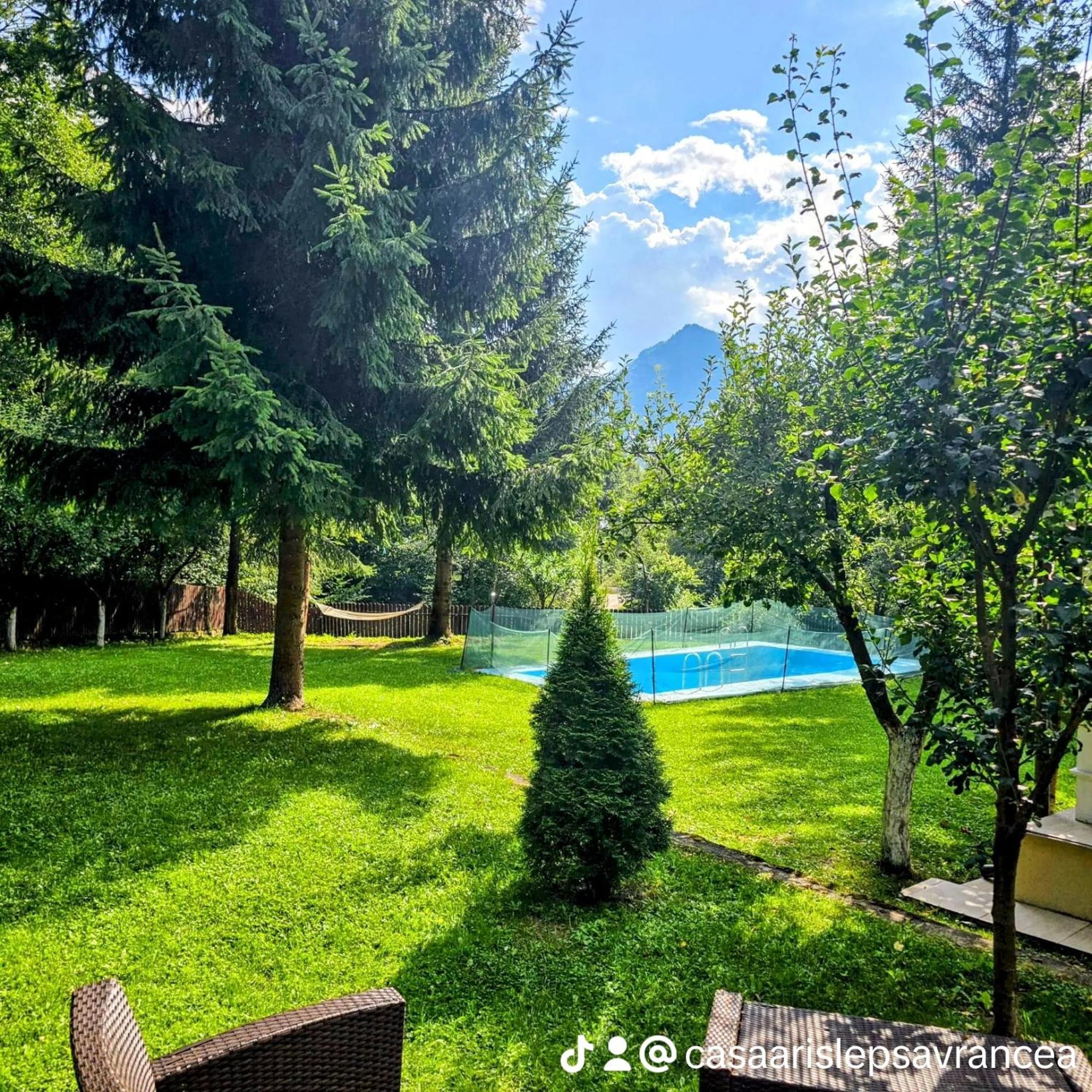 Casa Aris Lepsa Vrancea Hotel Exterior photo