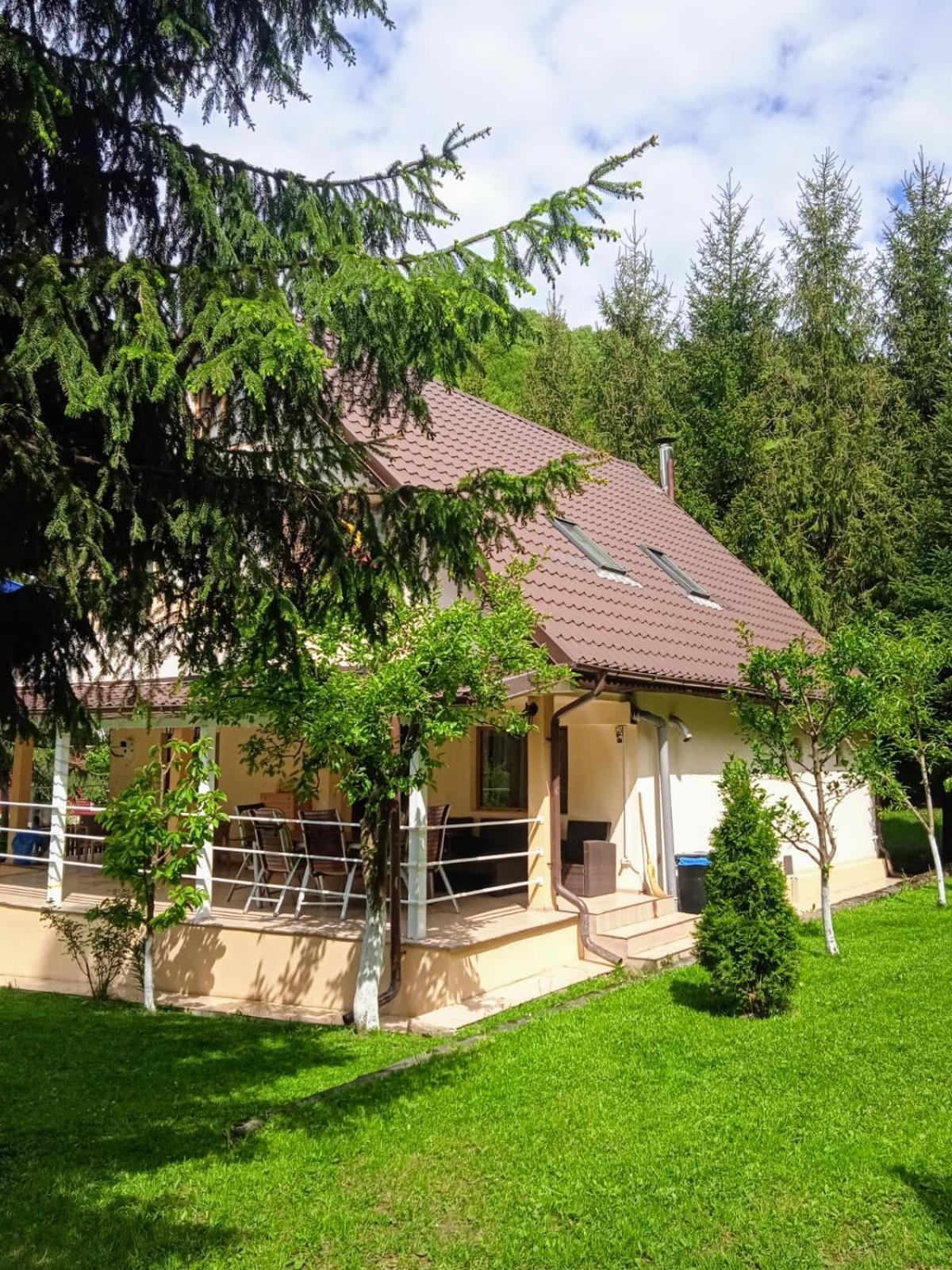 Casa Aris Lepsa Vrancea Hotel Exterior photo